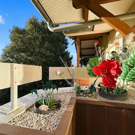 Avec Balcon Et Parking Prive